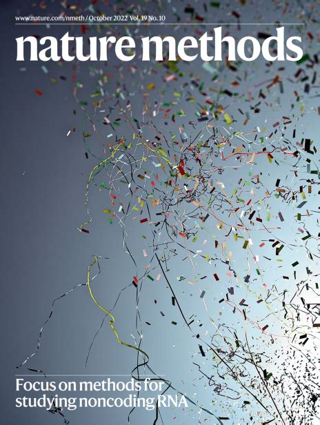 Springer Nature Methods Book 的图像结果