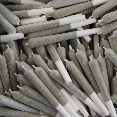 Pre Rolled Cones - White Pre Rolled Cones Manufacturer from Ahmedabad