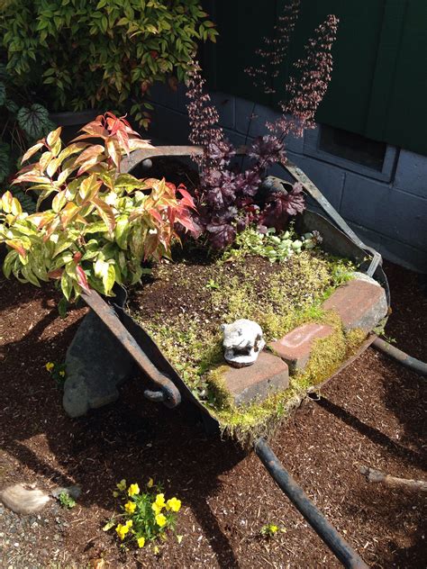 Portland ave nursery | Garden, Plants, Growing