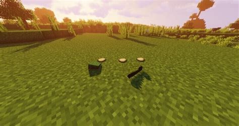 Image result for Minecraft Java Realistic Item Drop Mod