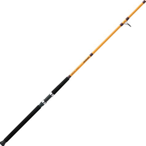 Daiwa FT Surf Spinning Rod | DICK'S Sporting Goods