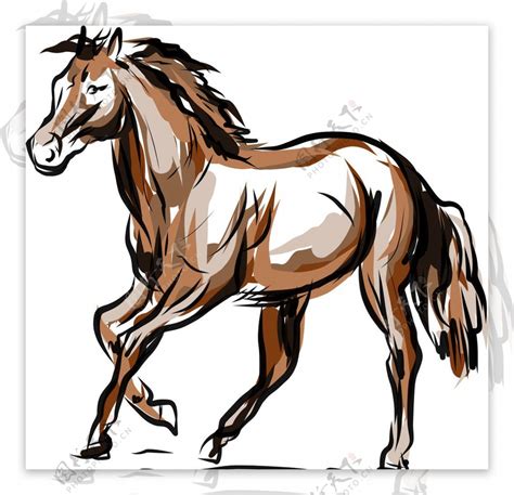 骏马简笔画 的图像结果