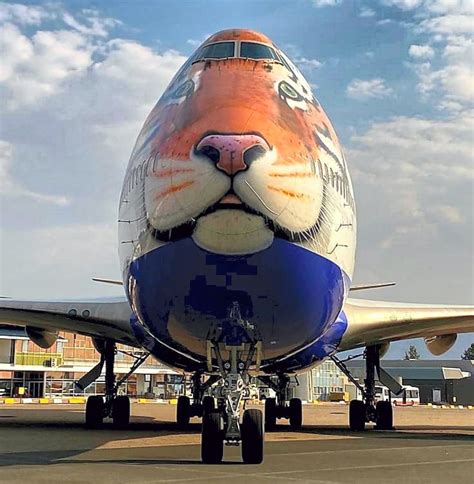 bingo101 india special,Bingo has been a popular game worldwide