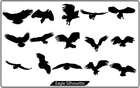 Bald Eagle silhouette isolated on white Free 17114295 Vector Art at Vecteezy