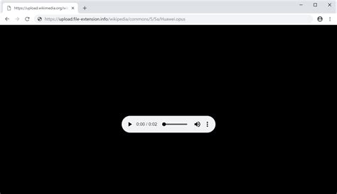 Open Opus Temp File 的图像结果