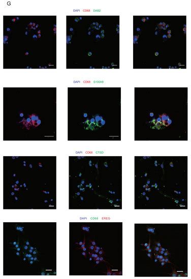 Biomolecules | Topical Collection : Feature Papers in Molecular ...