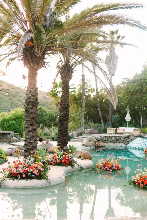 Palm Trees and Pool at The Hummingbird Temple in Hollywood Hills ...
