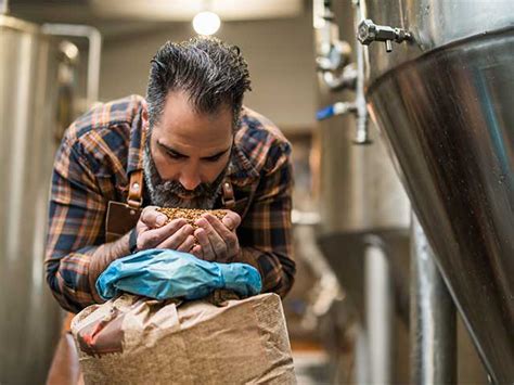 Compra y venta de cereales en Ávila | SAT Coplam