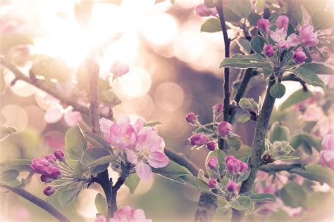 Qualls Funeral Homes