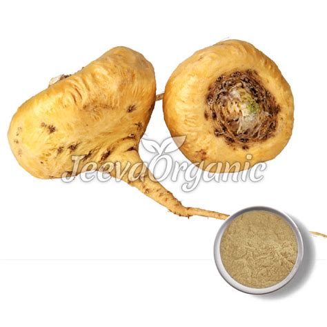 Image result for Maca Root Extract
