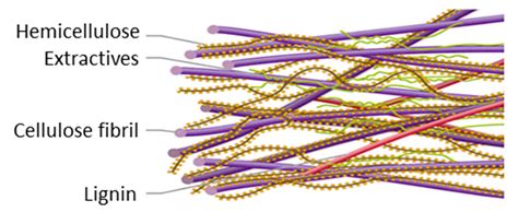 Feasibility of Barley Straw Fibers as Reinforcement in Fully Biobased ...