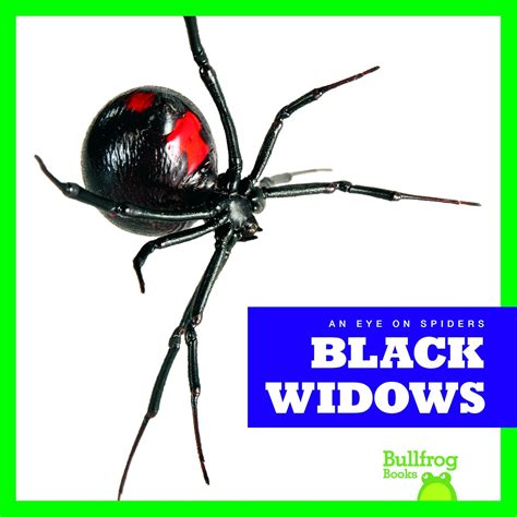 Buy Black Widows (Eye on Spiders) Book Online at Low Prices in India ...