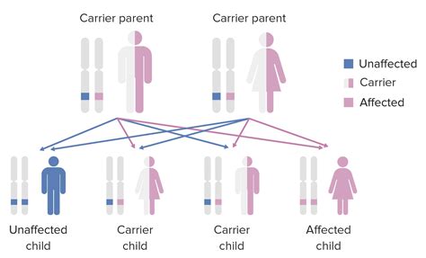Recessive Definition