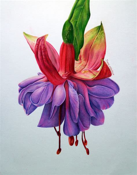 彩铅手绘 的图像结果