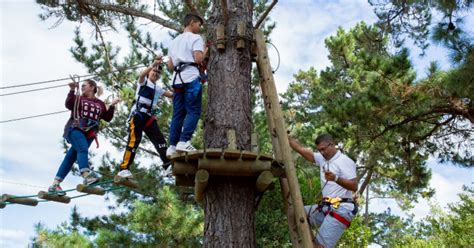 ACROBRANCH GARDEN ROUTE (2026) All You Need to Know BEFORE You Go (w ...