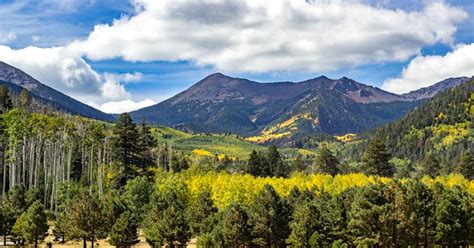 Flagstaff National Weather - Raja Domain