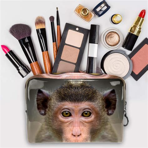 Monkeys With Makeup