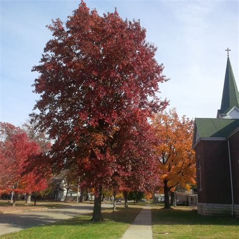 Osage City, KS - Official Website | Official Website