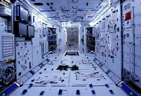 Image result for Delphi Method Vector Images