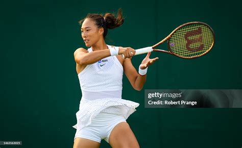 Tennis Zheng Qin Wen 的图像结果