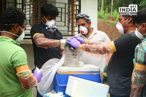 Kerala Issues Nipah Alert Following Two 'Unnatural' Deaths: Key Details
