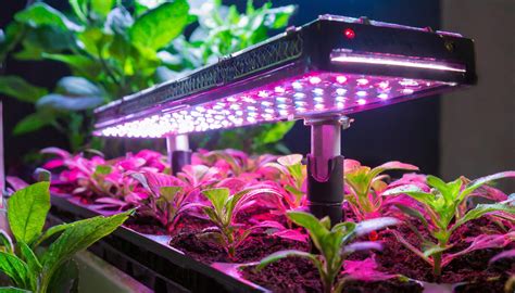 Advanced grow equipment: tips for higher yields
