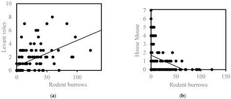 The Use of Drones to Determine Rodent Location and Damage in ...