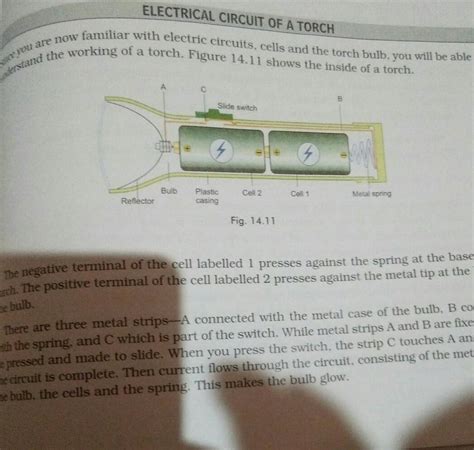 draw the labelled sketch of a torch where does it torch get electricity ...