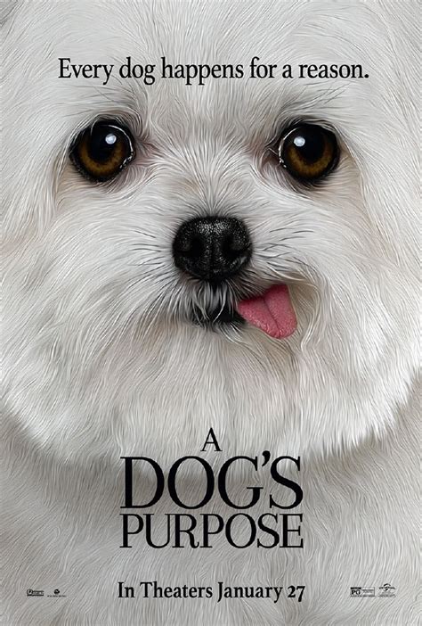 《一条狗的使命》海报