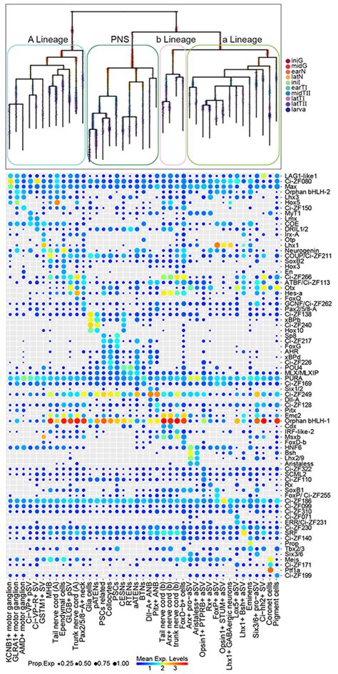 Transcriptome TreeMap 的图像结果