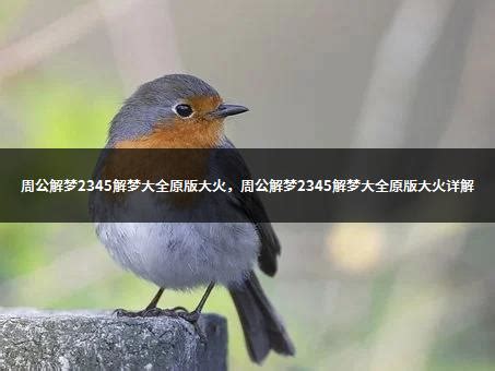 2345浏览器8.4版中文版免费绿色下载-系统族