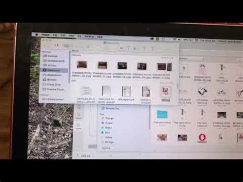 Image result for How Do You Convert a ZIP File to SVG