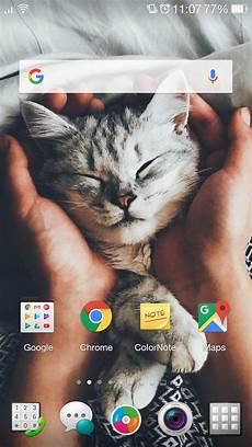 Lock Screen Wallpaper Cat by Cat Wallpaper Lock Screen Qhd For Android Apk Lock Screen Wallpaper Cat