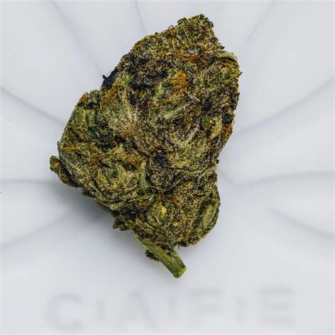 Strain Review: Platinum Bubba Kush • Puff Wow