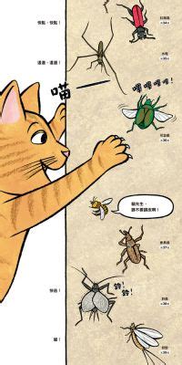 Graphs Java 的图像结果