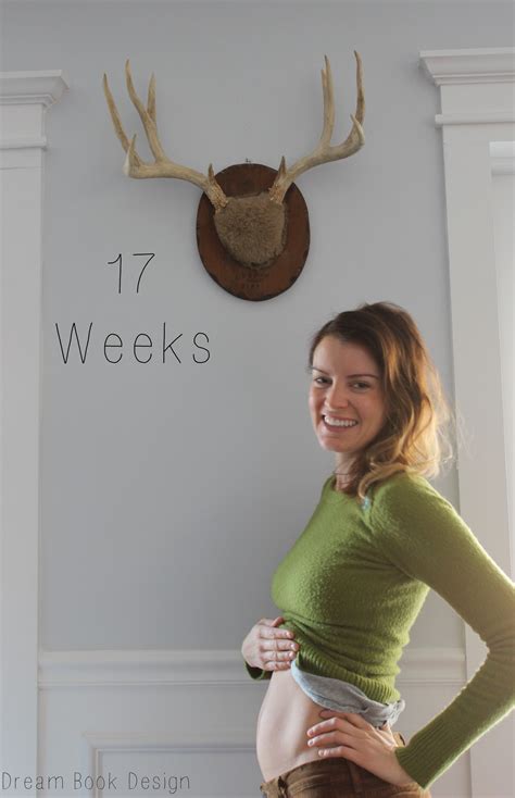 17 Weeks Pregnant Belly First Pregnancy
