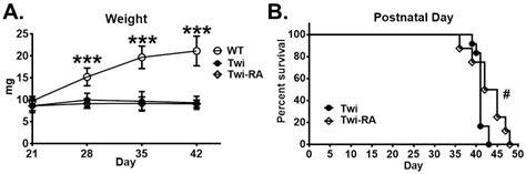 Rapamycin Alleviates Protein Aggregates, Reduces Neuroinflammation, and ...