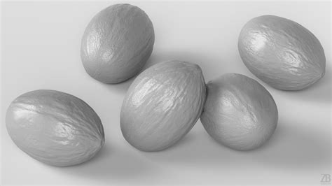 Melon 3D model | CGTrader