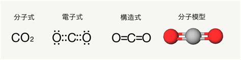 Image result for Complementizer in Syntax Tree