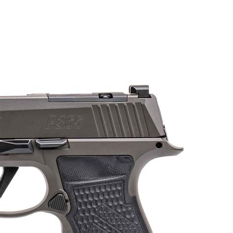 Sig Sauer P365 AXG Legion 9mm Luger 3.1in Legion Gray Cerakote Pistol ...