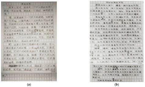 Towards Figurative Expression Enhancement: Effects of the SVVR ...
