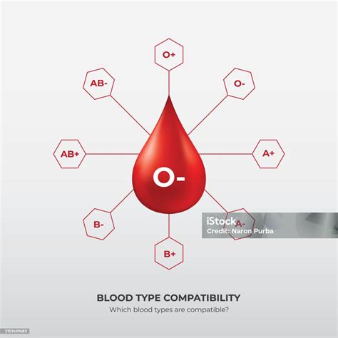 Blood Group And Blood Types Drops Of Blood Type O Minus Stock ...