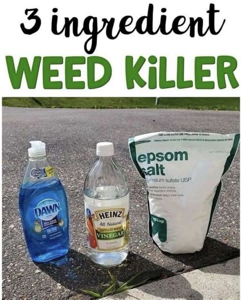 10 homemade natural weed killers that actually work – Artofit
