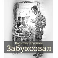 До третьих петухов - рассказ Василия Шукшина, читать онлайн