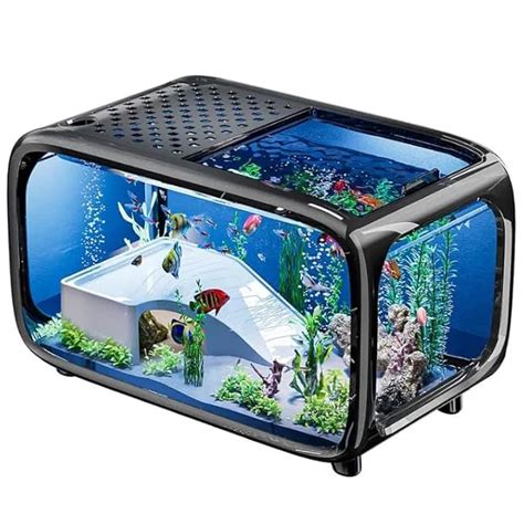 rizopets Premium Fish Aquarium Tank with Lid, LED Light & Filter ...
