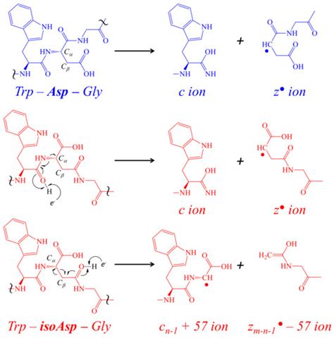 Image result for Random Science Computer Image
