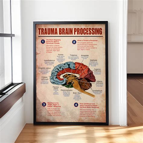 Buy Trauma Brain Processing Poster for Therapist Office, Mental Health ...