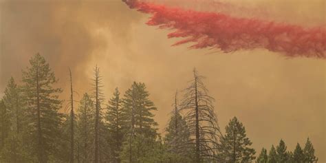 California man defends his home as wildfires push devastation and ...