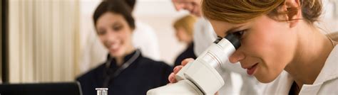 Inflow Tutorial 的图像结果