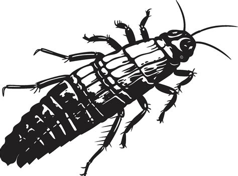 Vector Beauty in the Deep SilverFish Artistry Sleek Silhouette of the Sea Iconic Elegance ...